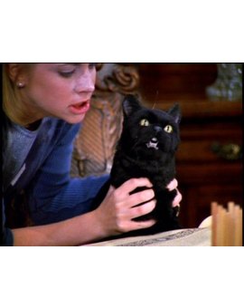 Humor de domingo: La bruja Sabrina se reencuentra con el gato Salem