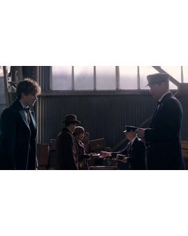 Humor de domingo: Newt Scamander tratando de pasar un control en el aeropuerto