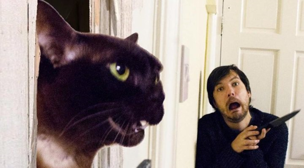 Una pareja de cinéfilos recrea escenas míticas del cine con sus gatos