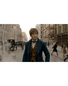 'Animales fantásticos y dónde encontrarlos' logra más de 200 millones de dólares en todo el mundo. Y Newt Scamander sí apareció en una película de 'Harry Potter'