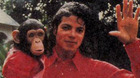Taika-waititi-y-mark-gustafson-dirigiran-bubbles-la-pelicula-sobre-el-mono-de-michael-jackson-c_s