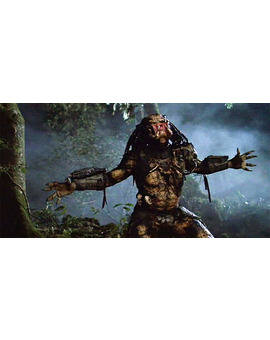 "The Predator": Arnold Schwarzenegger no aparecerá en ella 