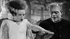 Bill-condon-dirigira-el-remake-de-la-novia-de-frankenstein-c_s