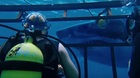 Fecha-de-estreno-en-espana-de-47-meters-down-c_s