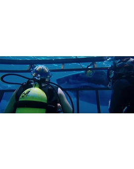 Fecha de estreno en España de ‘47 Meters Down’