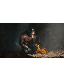 Según la física cuántica, 'Ant-Man' podría ganar a 'Superman'