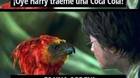 Atencion-j-k-rowling-tiene-una-sorpresa-para-los-fans-de-harry-potter-y-se-desvelara-hoy-c_s