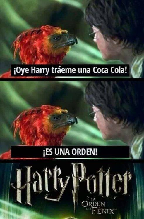 ¡Atención! J.K. Rowling tiene una sorpresa para los fans de 'Harry Potter', y se desvelará hoy