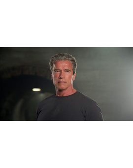 Arnold Schwarzenegger tiene un mensaje para los neonazis: "Todos los humanos tienen el mismo valor"