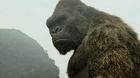 Adam-wingard-afirma-que-godzilla-vs-kong-tendra-un-claro-vencedor-c_s