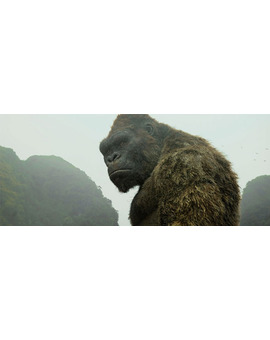 Adam Wingard afirma que ‘Godzilla vs. Kong’ tendrá un claro vencedor