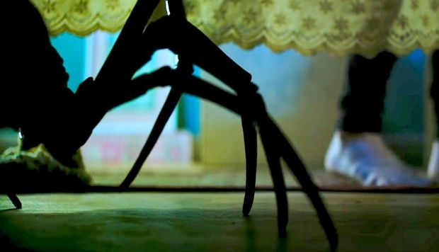 ¿Miedo a las arañas? Pues no veáis el tráiler oficial de "Itsy Bitsy"