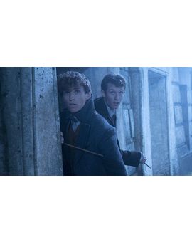 "Extraordinario, aterrador y emocional": Primeras reacciones al guión de 'Animales Fantásticos 3'