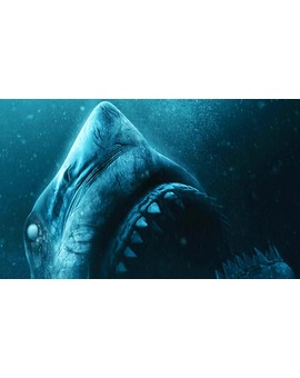 Trailer final para “A 47 Metros 2: El terror emerge”