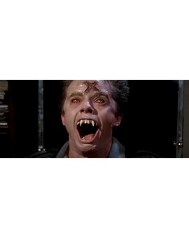 Trailer de “In Search of Darkness”, un documental sobre el cine de terror de los 80s