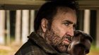 Nicolas-cage-se-interpretara-a-si-mismo-en-una-pelicula-sobre-su-vida-c_s