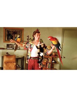 Los creadores de 'Ace Ventura' responden a los rumores de una tercera película