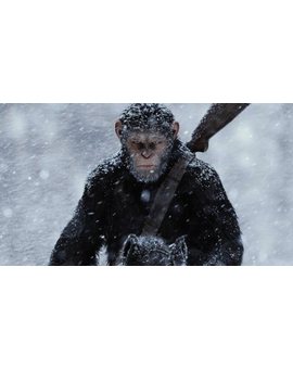 'El planeta de los simios': La nueva película podría ser otro reboot de la saga