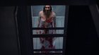 The-wretched-la-pelicula-de-terror-que-bate-records-gracias-al-coronavirus-se-estrenara-en-espana-c_s