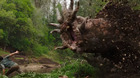Trailer-de-love-and-monsters-c_s