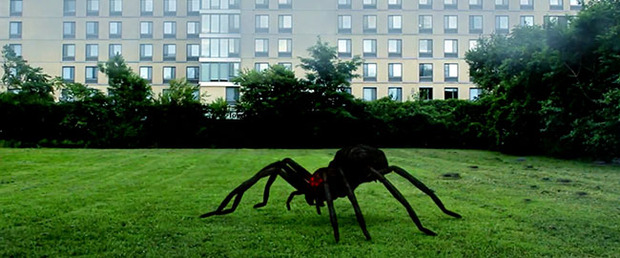 Tráiler de "Arachnado", siguiendo en la línea de "Sharknado"