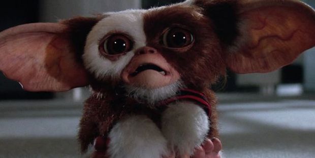  'Gremlins 3': Chris Columbus avanza detalles sobre la secuela