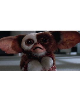 'Gremlins 3': Chris Columbus avanza detalles sobre la secuela