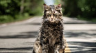 Paramount-estrenara-una-precuela-de-cementerio-de-animales-c_s