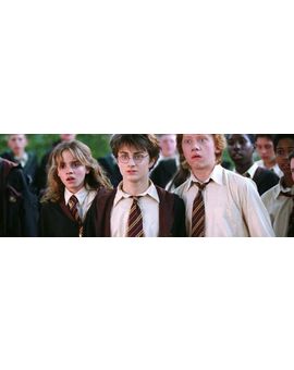 ¿Más películas de 'Harry Potter'? El CEO de WarnerMedia habla de unas misteriosas secuelas
