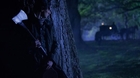 Cartel-e-imagenes-abraham-lincoln-vampire-hunter-c_s