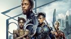 Black-panther-consigue-361-millones-en-su-primer-fin-de-semana-c_s