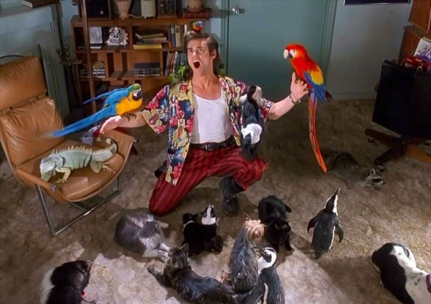 12 curiosidades de "Ace Ventura"