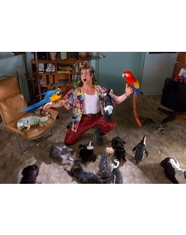 12 curiosidades de "Ace Ventura"