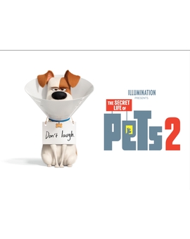 Nuevo tráiler de "Mascotas 2" - Rooster 