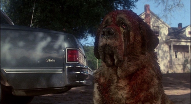 "Cujo" saldrá en BD en UK este año y traerá 7 horas de extras 