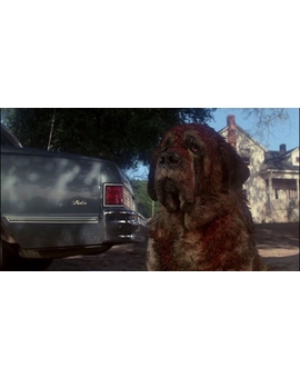 "Cujo" saldrá en BD en UK este año y traerá 7 horas de extras 