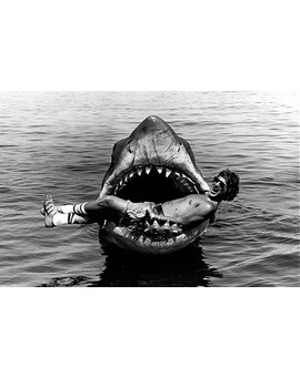 Tiburón. Clasico a revistar todos los veranos. ¿Que película se os ocurre que tambien ocurren sobre el caluroso verano?