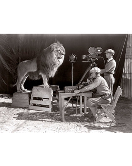 (MGM) El león más visto del cine.