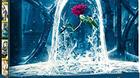 Alguien-vende-los-cartoncitos-de-los-steelbook-de-disney-c_s