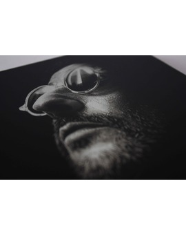Steelbook - Leon
