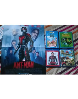 Mi Colección de Hormigas... Je je 