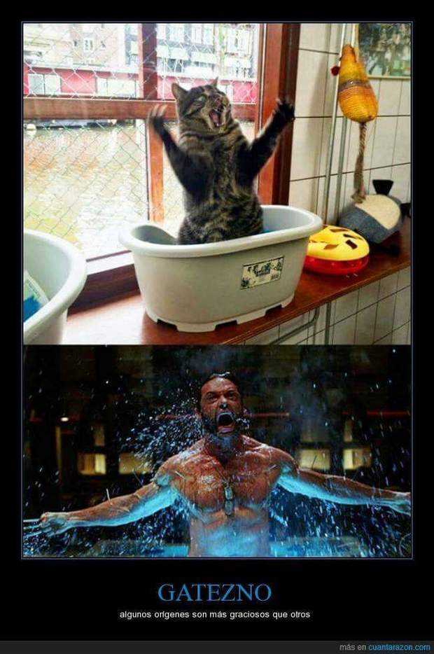 Humor (X-MEN) 