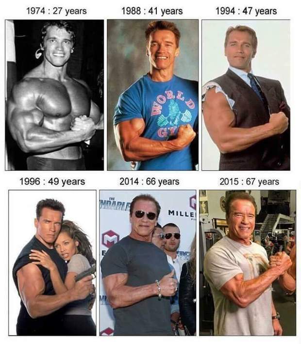 Simplemente ARNOLD. 