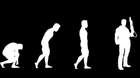 The-terminator-evolution-c_s