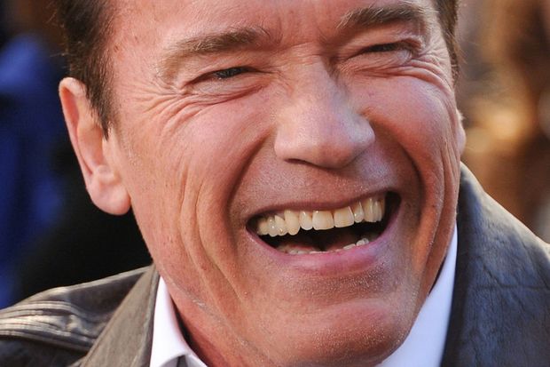 Arnold Schwarzenegger Volverá en la Comedia (Why We're Killing Gunther). 