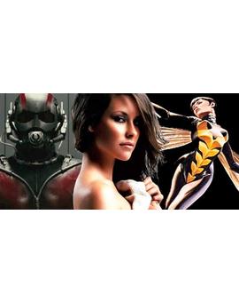 10 Candidatas para ser la Avispa Original en la Secuela de ANT-MAN.