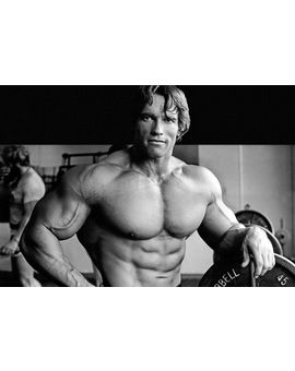 Hoy Cumple 69 Años ARNOLD SCHWARZENEGGER. 