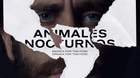 Cartel-espanol-de-animales-nocturnos-con-jake-gyllenhaal-c_s