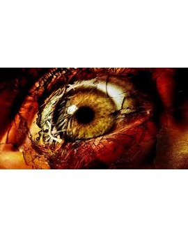 TEST: Película de Terror que Recomiendan Según tus Gustos. 