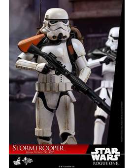 Imagen (STORMTROOPER de Hot Toys). 